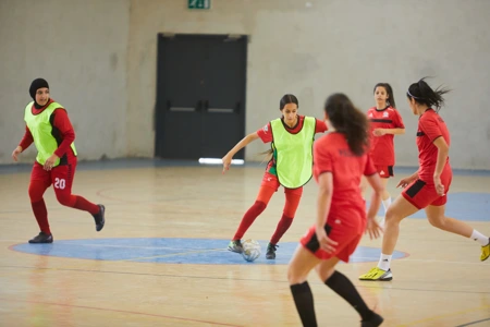 Sports Management 1